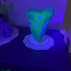 May include: A large, glowing green fossilized shark tooth, illuminated with blue light, rests on a white doily. The tooth is the focal point, showcasing its natural shape and texture. The background is dark, emphasizing the vibrant colors of the tooth.