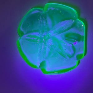 Uranium Glass Sand Dollar Paperweight Aqua