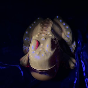 Uranium Glass Frog #2 Paperweight (RED)