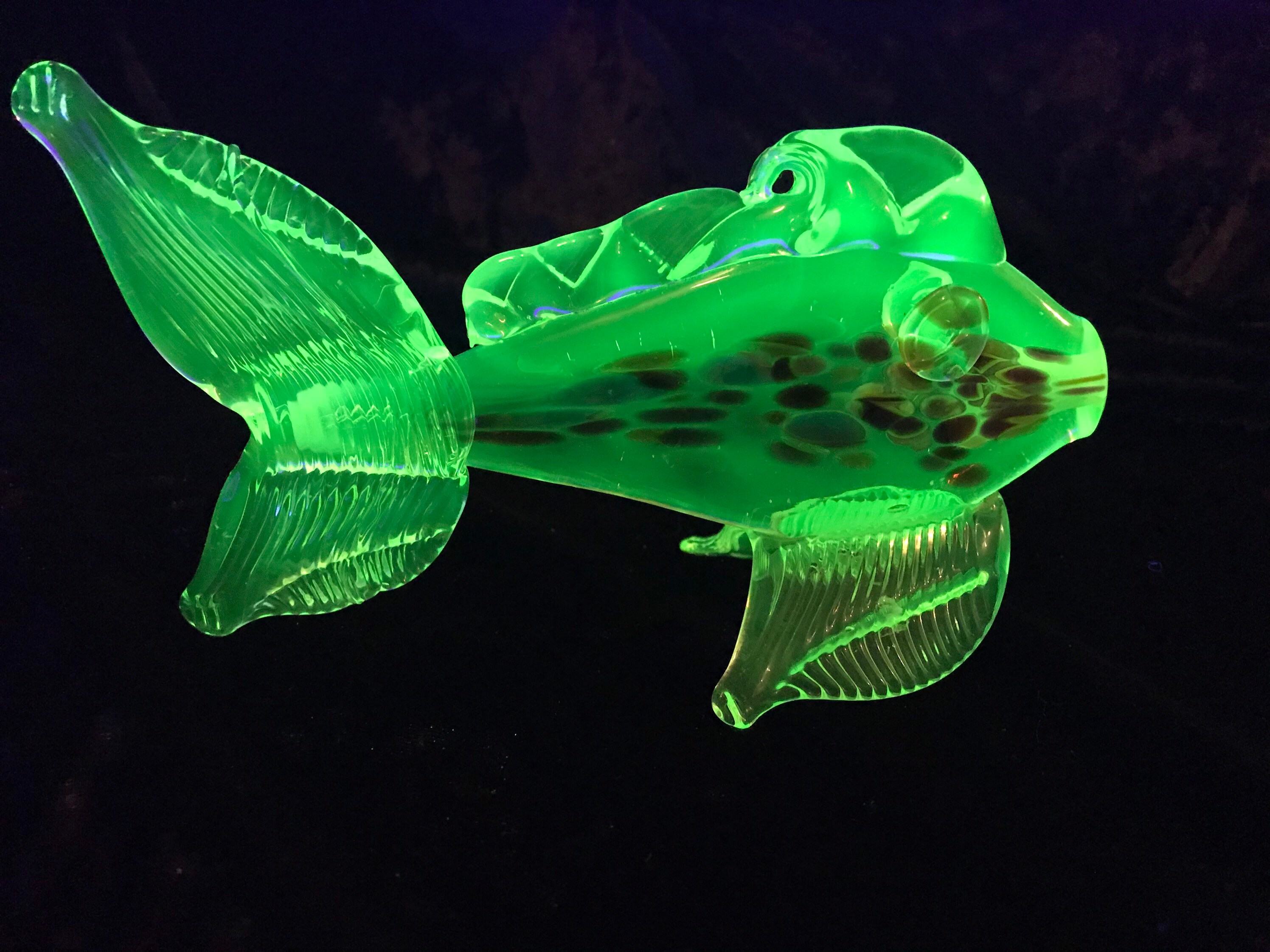 Uranium Mini Glass Fish Multi Colored Etsy