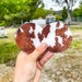 Custom Resin Western Cow Car Coaster 
