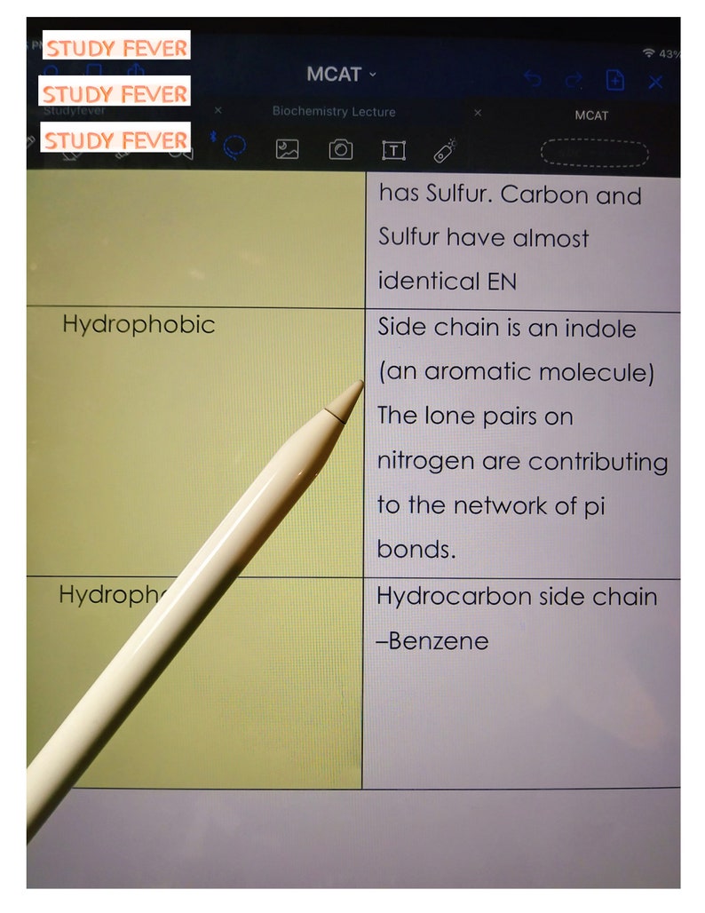 MCAT Study Sheet Amino Acids Etsy