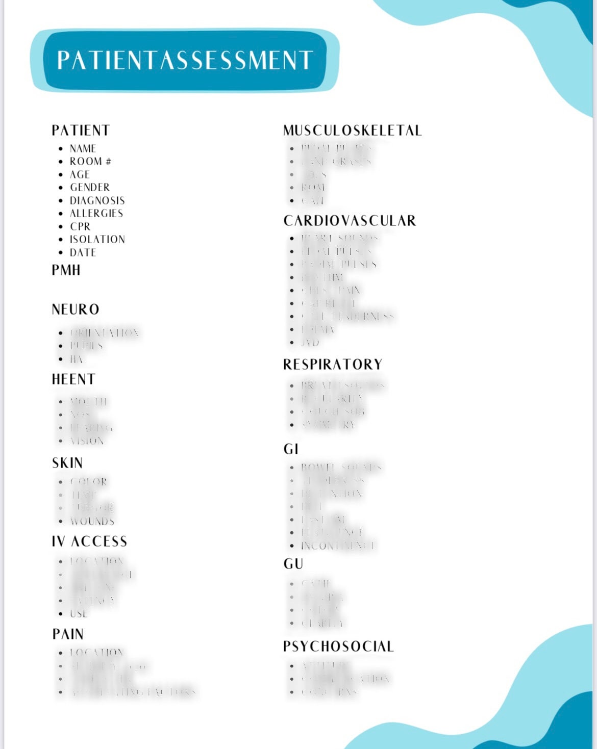 Nurse Assessment Sheet - Etsy