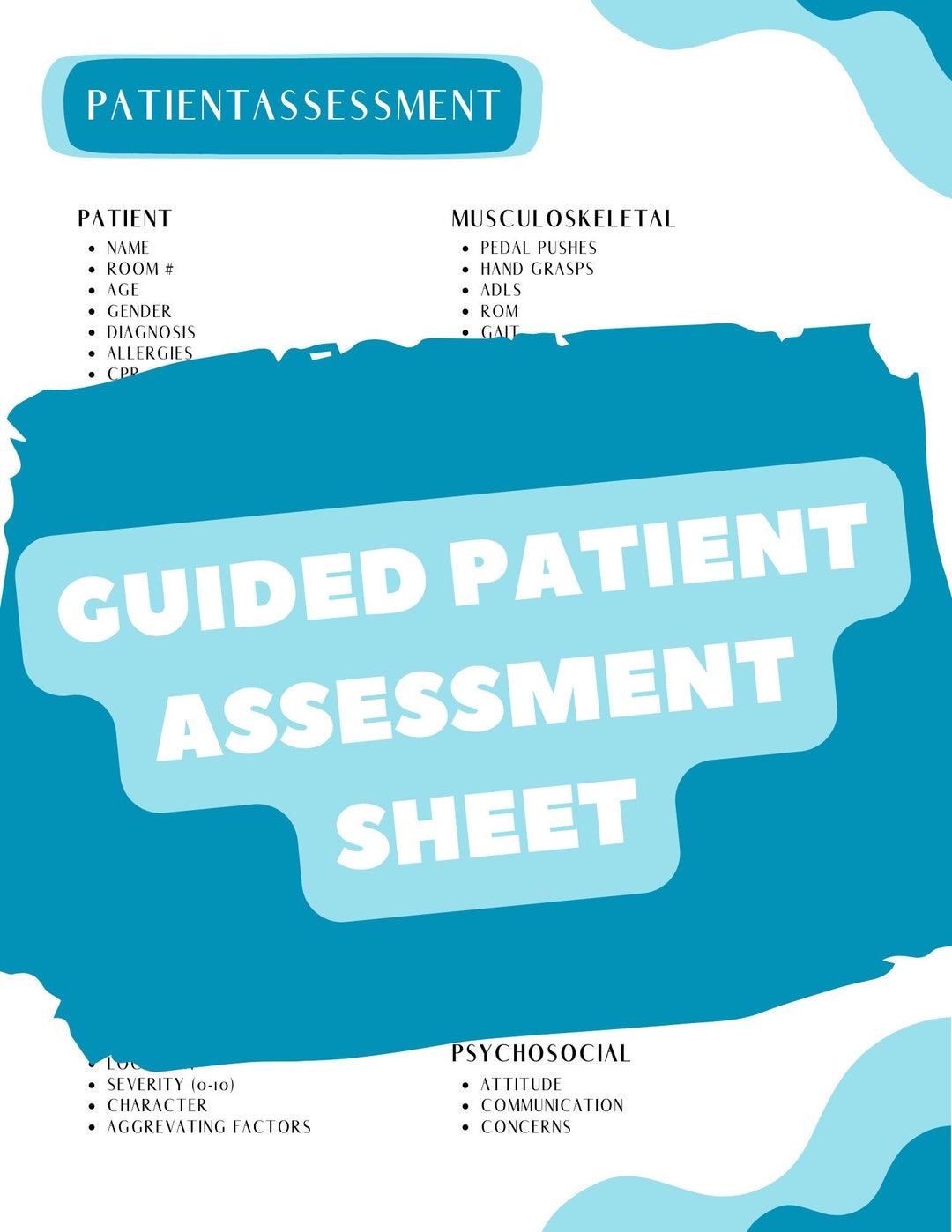 Nurse Assessment Sheet - Etsy