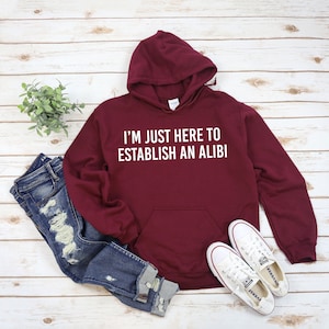 I'm Just Here to Establish an Alibi Hoodie Sarcastic Hoodie Funny Hooded Sweatshirt Funny Winter Hoodies Adult Humor Funny Gift Idea Sarcasm