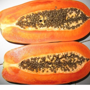 Sweet Papaya Seeds: Thai Fruit Garden Seed image 2