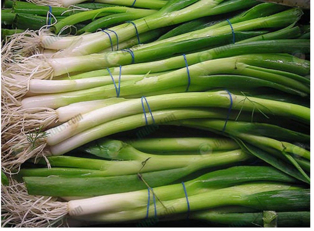 400 Scallion Seeds: Green Spring Onion Vegetable Seeds - Etsy