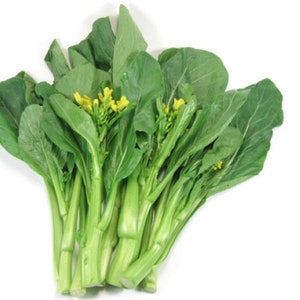 200 seeds Bok Choy, Choy Sum seeds, Bok Choy seeds, Asian Mustard, Brassica chinensis, Caisim seeds