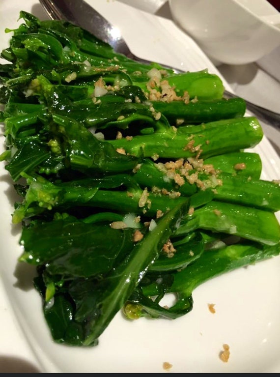 100 Samen Chinesischer Brokkoli Kailaan Kai-lan Chinesischer Grünkohl 