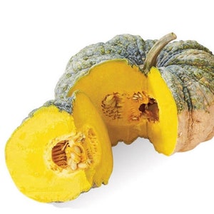 Thailändska pumpafrön: Vinterpumpa, asiatisk variant