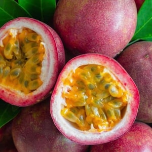 Semillas de maracuyá púrpura, semillas de maracuyá púrpura dulce, maracuyá. Semillas de frutas tropicales, Passiflora edulis