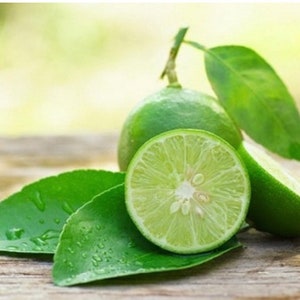 May include: A close-up of a lime cut in half, with the flesh visible, and two whole limes. The limes are surrounded by green leaves.