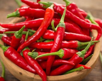 Thai Chili Pepper Seeds: Grow Your Own Vegetables