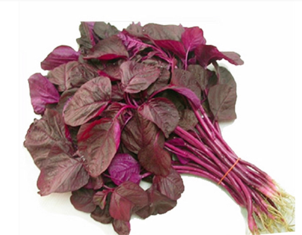 Red spinach sale