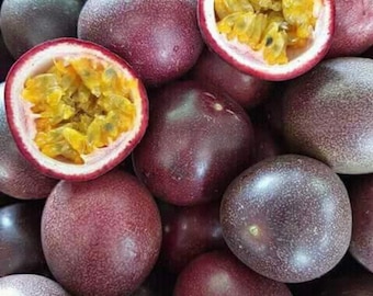 Süße Lila Passionsfrucht Samen: Tropische Passionsblume edulis
