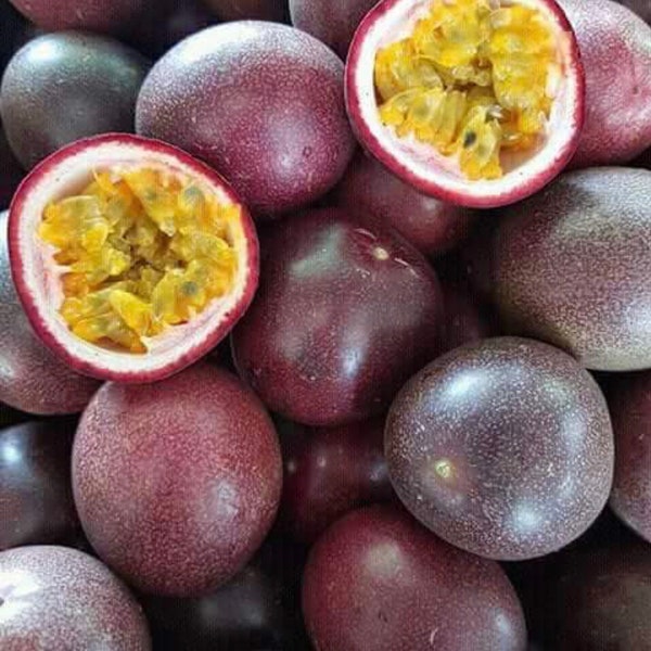 Semillas de maracuyá púrpura, semillas de maracuyá púrpura dulce, maracuyá. Semillas de frutas tropicales, Passiflora edulis