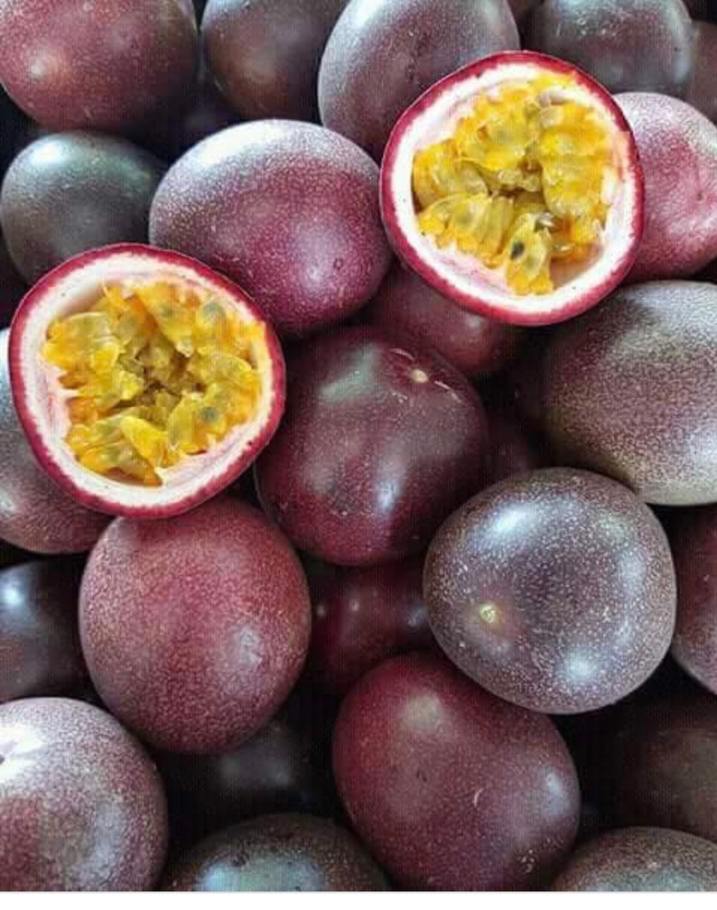 May include: A close-up of a group of passion fruit. The fruit is purple and has a smooth skin. Some of the fruit has been cut open, revealing the yellow flesh and black seeds.