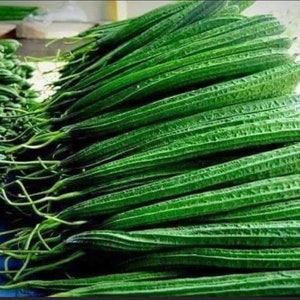 May include: A large pile of fresh, green, long, thin, ribbed vegetables. The vegetables are stacked in a pyramid shape.