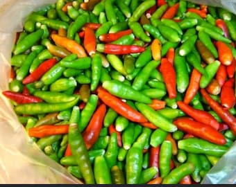 Semillas de chile Thai Bird Eye: pimientos picantes