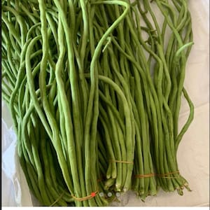 Semi di fagioli lunghi un metro, fagioli asparagi