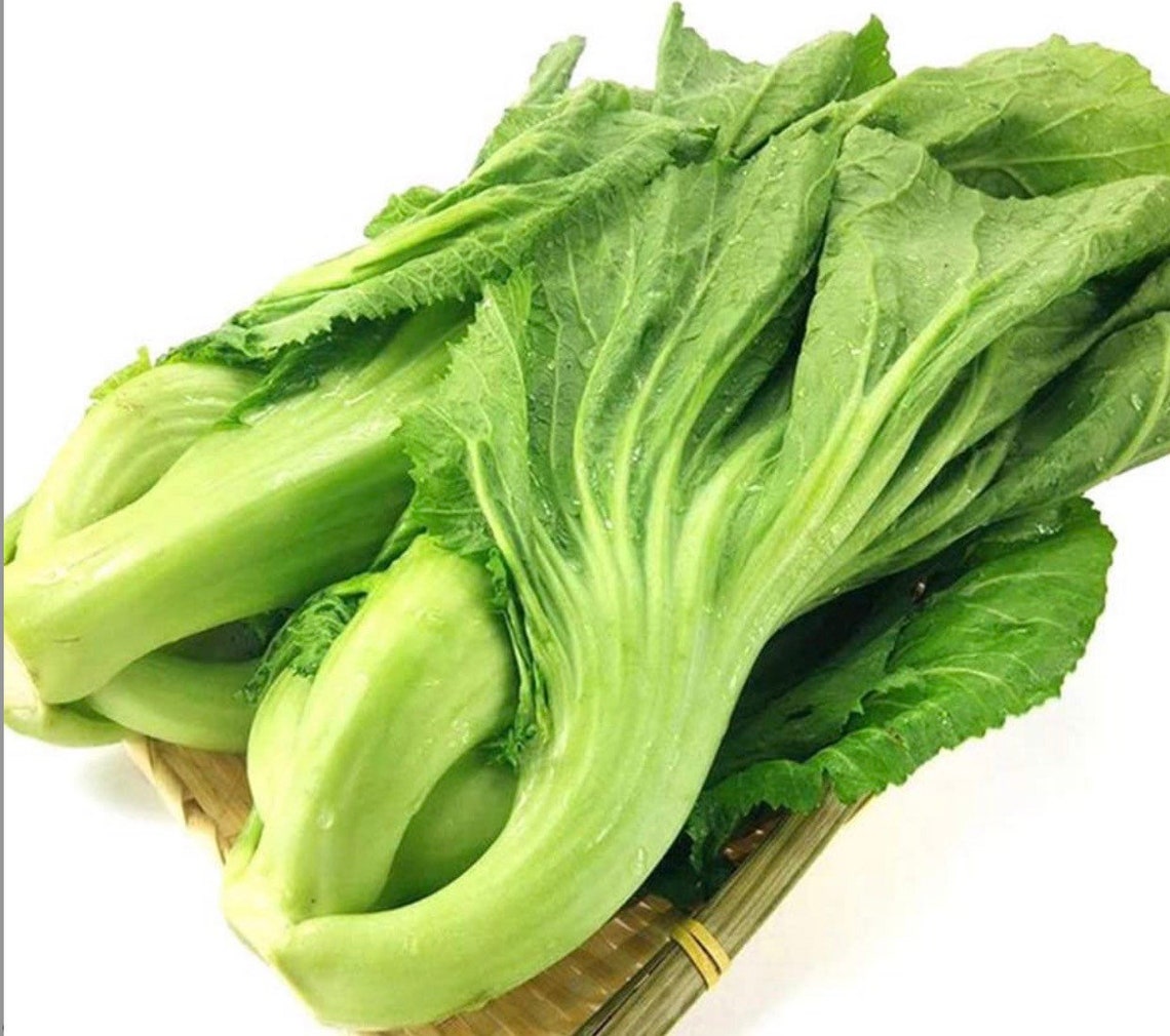 500 Chinese Mustard Green Seeds Oriental Mustard Gai Choy Etsy UK