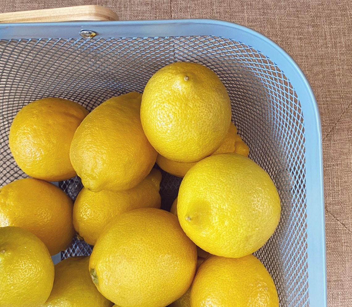 Spring Garland Dried Organic Lemons With Lavender Etsy