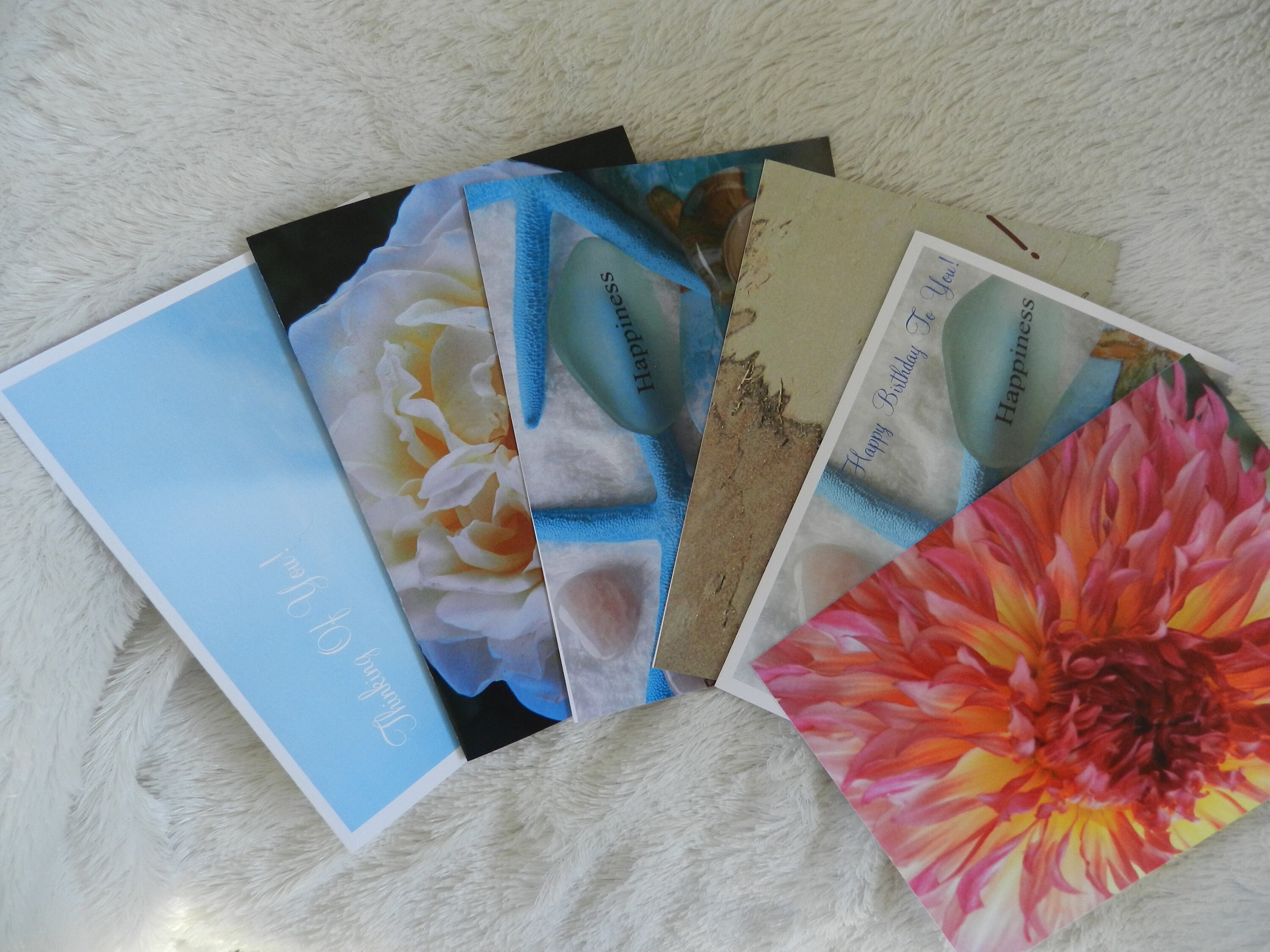 Pack of Greeting Cards 6 Pack Cards Set of 6 Cards Etsy