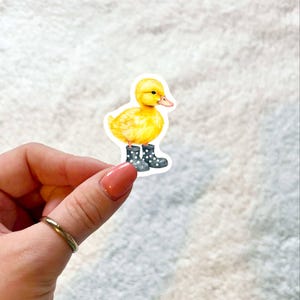 Pegatina de vinilo de pato con botas de agua / Bonita / Pegatina para botella de agua / Pegatina para portátil / Pegatina para Kindle / Regalo para amantes de los libros / Pegatina impermeable /