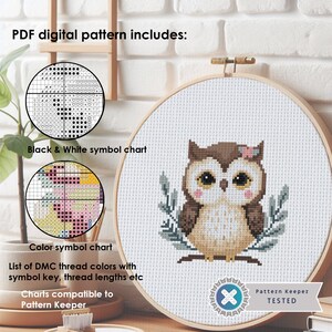 Puede incluir: Un patr&oacute;n digital de punto de cruz para un lindo b&uacute;ho con plumas marrones, ojos amarillos y una flor rosa en la cabeza. El patr&oacute;n incluye un gr&aacute;fico de s&iacute;mbolos en blanco y negro, un gr&aacute;fico de s&iacute;mbolos en color y una lista de colores de hilo DMC con una clave de s&iacute;mbolos, longitudes de hilo y otra informaci&oacute;n. El patr&oacute;n es compatible con el software Pattern Keeper.
