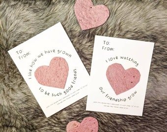 Valentine's Day Seed Paper Cards, Daycare gifts, Toddler Gifts