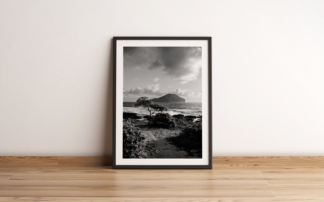 Oahu Hawaii Black and White Film Photo Print A20, Home Decor, Wall Art ...