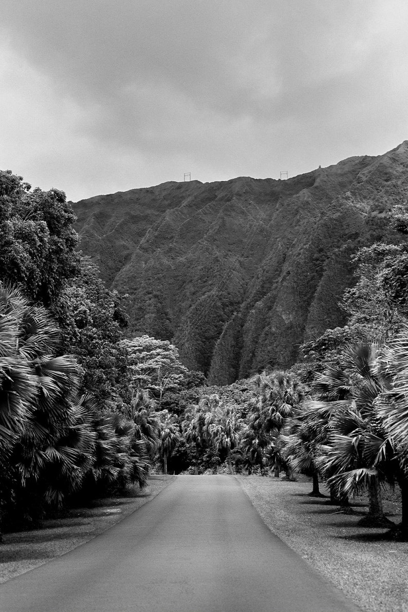Oahu Hawaii Black and White Film Photo Print A15 Home Decor - Etsy