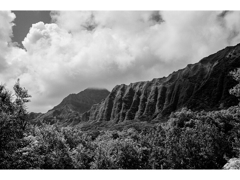 Oahu Hawaii Black and White Film Photo Print A22, Home Decor, Wall Art ...