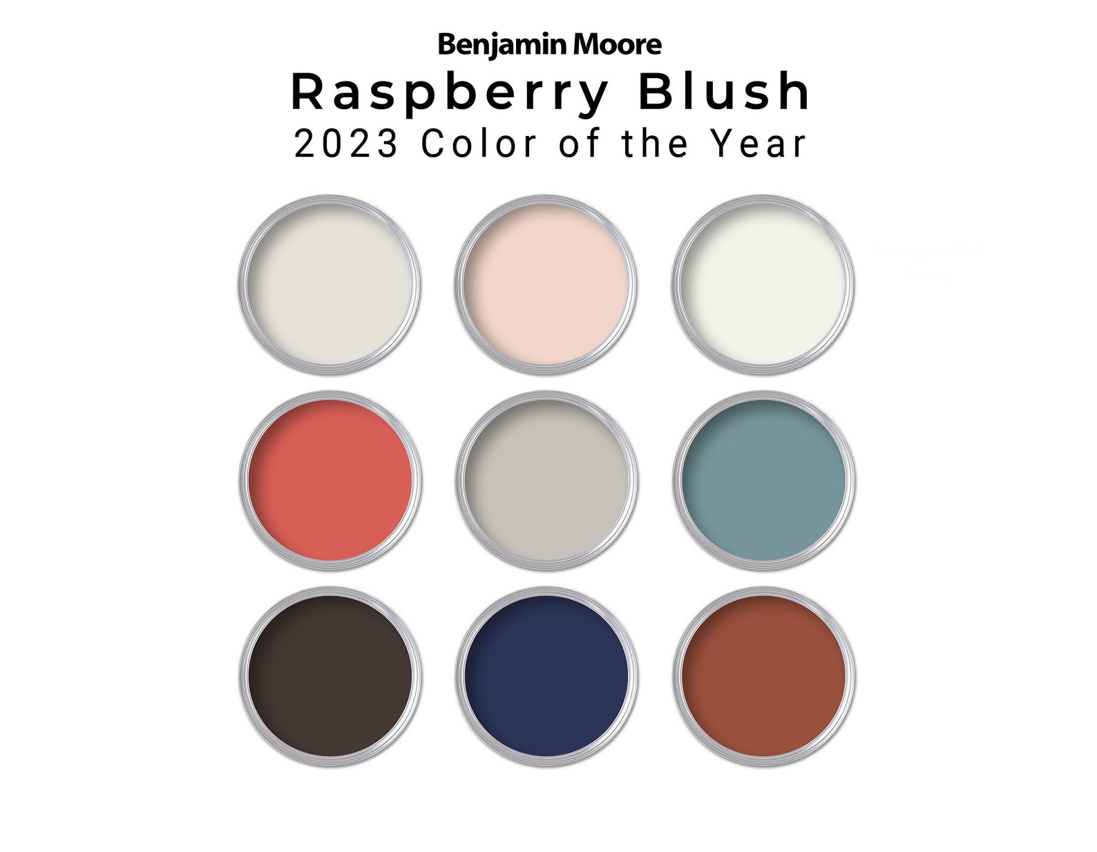 Benjamin Moore Raspberry Blush Paint Palette 2023 Whole House Paint ...
