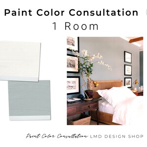 Interior Paint Color Consultation 1 Room | Professional Custom Paint Consultation