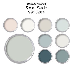 Sea Salt Sherwin Williams Paint Color Palette | Whole House Paint Palette