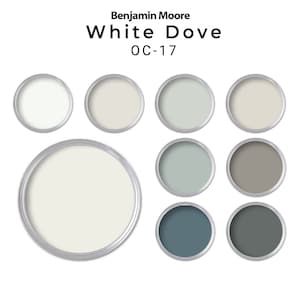 White Dove Benjamin Moore Home Paint Palette | White Dove Whole House Coordinating Paint Palette