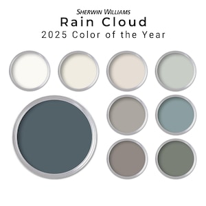 Sherwin Williams 2025 Color of the Year Rain Cloud Paint Palette | Whole House Paint Palette