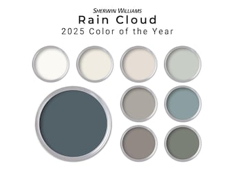 Sherwin Williams 2025 Color of the Year Rain Cloud Paint Palette | Whole House Paint Palette