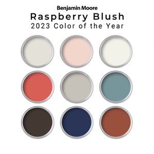 Raspberry Blush 2023 Benjamin Moore Paint Palette Color Year | Interior Paint Color for Home