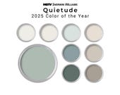 HGTV Sherwin Williams 2025 Color of the Year Quietude Paint Palette | Whole House Paint Palette