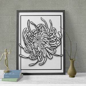 Chrysanthemum flower digital download