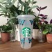 Outlined Butterfly Starbucks Cup 