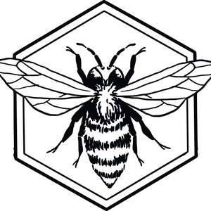 Bee Honeycomb SVG File
