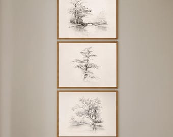 Set of 3 Minimalist Tree Sketch Prints: Neutral Botanical Wall Art, Modern Farmhouse Decor