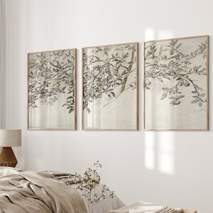 May include: A bedroom interior with a white bed, a beige throw blanket, and a wooden side table with a lamp. Three framed prints of black and white botanical illustrations hang on the wall above the side table.