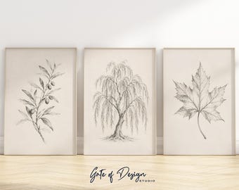Set of 3 Botanical Sketch Prints Neutral Botanical Wall Prints Olive Branch Willow Tree Maple Leaf Framed Wall Art