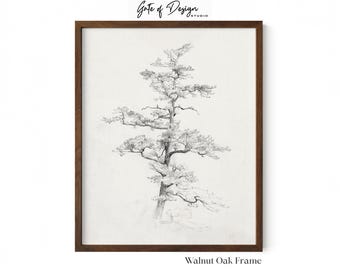 Pine Tree Wall Art Framed Tree Sketch Japandi Nature Print Wabi Pine Tree Wall Art Framed Tree Sketch Japandi Nature Print Wabi