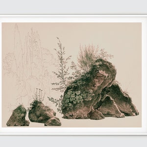 May include: A vintage botanical illustration of a rocky landscape with green foliage and trees in the background. The rocks are a light brown color with a textured surface. The foliage is a dark green color and has a delicate, feathery texture.