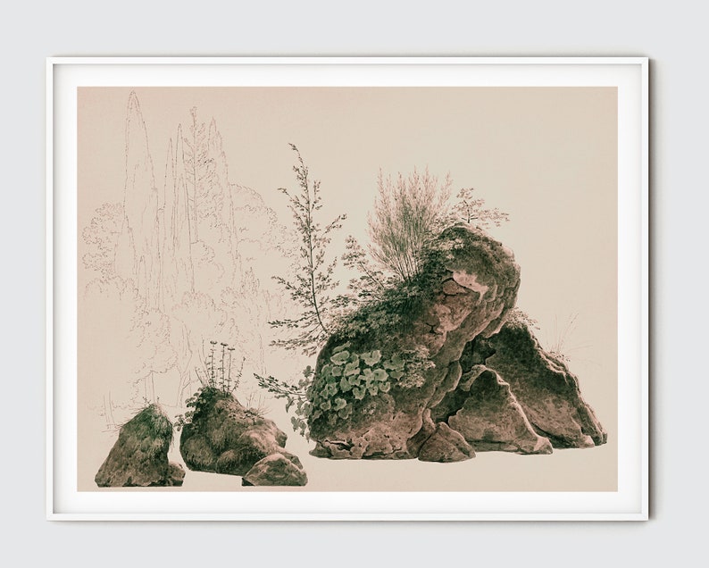 May include: A vintage botanical illustration of a rocky landscape with green foliage and trees in the background. The rocks are a light brown color with a textured surface. The foliage is a dark green color and has a delicate, feathery texture.